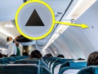 下次搭飛機時仔細觀察！坐在「三角形標誌正下方」的乘客你超幸運！
