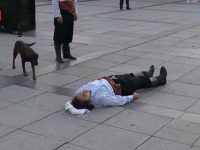 土耳其街頭拍戲，演員飾演受傷人員在街上倒地，這時出現流浪狗要救他!!畫面太暖太溫馨