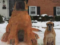 下雪堆雪人根本落伍了！有養毛孩的飼主把自己家的狗狗堆起來！
