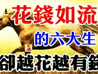 天生就有偏財運！「特別好運」的四大生肖 「錢財主動送上門」 容易中大獎