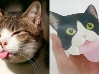 ​忘記收起舌頭的貓咪化身為吸油面紙，超級萌的啦～絕對讓貓奴們融化♥