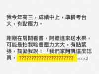 阿嬤...我壓力就夠大了，你還來亂！