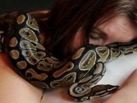 她養蟒蛇當寵物，還以為牠「這樣的表現」是很愛自己的意思，直到有天牠突然變虛弱，才發現........
