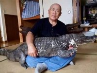 日本老爺爺喜好超特別，從31歲開始就養鱷魚，一養就是34年，希望能一起白頭偕老！