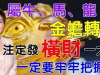這幾天出生的牛，馬，龍，金蟬轉世，註定發橫財一筆