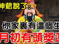 3月初有頭獎運的生肖，你家有幾個呢