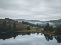 專家示警：12月「屬豬 屬牛 屬羊 屬蛇」一定要注意！