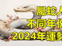 不同年份屬蛇人2024年運勢！
