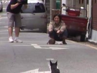 愛犬「走失2個月」，路上與主人相見，卻不相認「背後的原因」讓人心痛