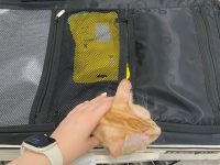 機場安檢沒過，開行李箱赫見「一顆貓頭」冒出來，地勤神救援「暖哭她」