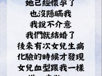 這資訊量也太大了
