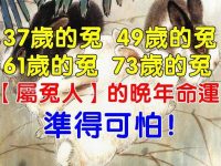 37歲的兔,49歲的兔,61歲的兔,73歲的兔【屬兔人】的晚年命運！