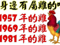 46年的雞、58年的雞、70年的雞【屬雞人】的晚年命運！