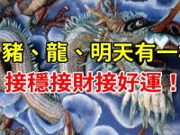 虎、豬、龍、明天有一橫財，接穩接財接好運！