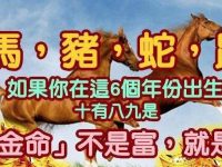 馬，豬，蛇，鼠！如果你在「這6個年份」出生的，十有八九是「大金命」不是富就是貴