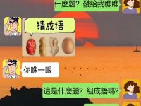 是什麼成語啦