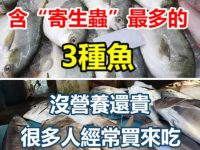 含「寄生蟲」最多的3種魚，沒營養還貴很多人經常買來吃！