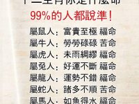 十二生肖是什麼命，99%的人都說準！