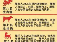 2025運氣最好生肖排行