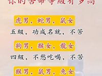 十二生肖你的苦命等級有多高
