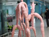 捷運站驚見抽象藝術品，我剛要走上前去看，老公一把給我拉走：再看就出問題了