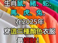 生肖「鼠豬蛇馬虎兔」，在2025年穿「這3種顏色」衣服最招財！