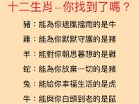 十二生肖你找到你的命定緣分了嗎？