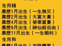 十二生肖這幾個月出生命最好！