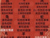 十二生肖每年初一穿對顏色，一整年運勢大增！