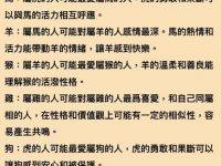 十二生肖最愛你的是誰！
