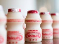 「養樂多」熱銷87年為何只有小瓶裝？　內行人揭密：它不是飲料