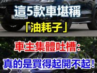 這5款車堪稱「油耗子」，車主集體吐槽：真的是買得起開不起