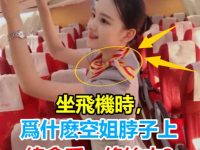 飛機上的空姐,為什麼脖子上都綁一條絲巾?看完長知識了! 飛機上的空姐,為什麼脖子上都綁一條絲巾?看完長知識了!