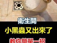 廁所小黑蟲又出來了，教你簡單一招，再也不會出現小飛蟲