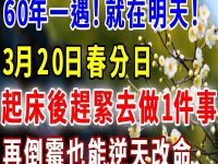 今日春分！起床後記得要做一件事，讓你從年頭旺到年尾！