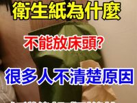 衛生紙為什麼不能放床頭,今天終於知道了!答案出乎你的意料 衛生紙為什麼不能放床頭,今天終於知道了!答案出乎你的意料