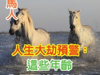 屬馬人生大劫預警：這些年齡你需要特別留意！
