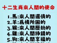 十二生肖來人間的使命，再忙也要看看！