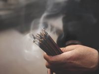 清明節「屬龍 屬猴 屬豬 屬馬 」一定要看！