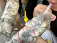 小情侶街頭狂炫「飲品」引路人跟風，看清包裝後集體傻眼！網友：商家太會玩