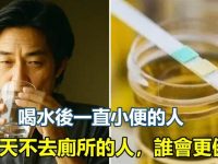 喝水後一直小便的人，與半天不去廁所的人，誰會更健康！專家告訴你