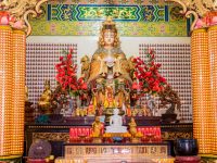 周日「媽祖生」！屬龍 屬豬 屬狗 一定要看！