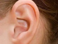 俗語說:耳垂大就「大富大貴」,耳垂小就「福薄運少」錯了! 俗語說:耳垂大就「大富大貴」,耳垂小就「福薄運少」錯了!