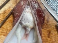 中獎了！菜市場買魷魚「剝開後驚見鮮魚」以為賺到了，專業網友一看「老闆的心好黑」