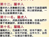 太驚訝了！12生肖一生富有排行，第一名居然是