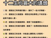 十二生肖最大的遺憾！