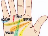 你的「婚姻、事業、命運」好不好，看掌紋「早就給答案了」！太準了！