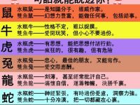 12星座+12生肖，最精闢性格分析！一句話就能說透你！