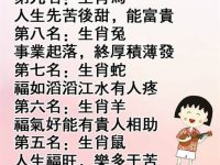 晚年命最好的生肖