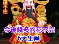 好運擋不住！今天過後「錢多的花不完」的6大生肖富貴享不盡